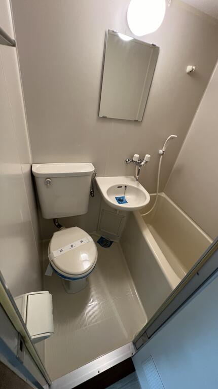 バス・シャワールーム　同タイプ　別部屋写真