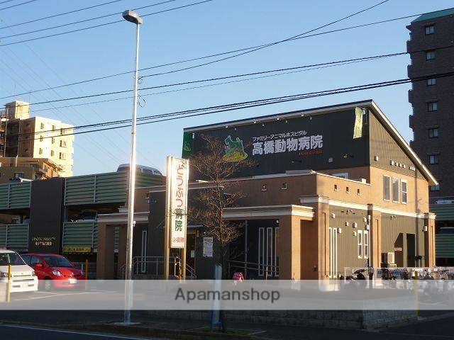 病院　高橋動物病院（病院）まで1000m