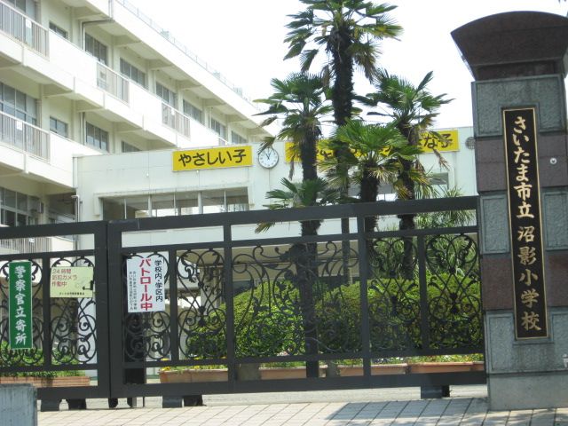 小学校　沼影小学校（小学校）まで449m