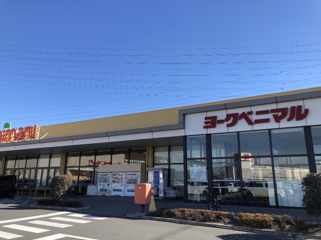 スーパー　ヨークベニマル小山雨ケ谷店（スーパー）まで175m