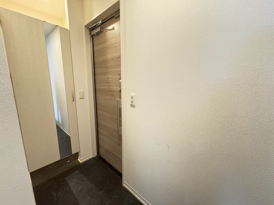 玄関　※別部屋の写真です