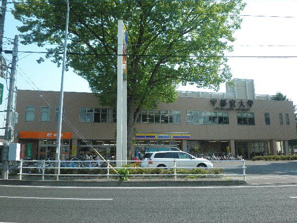大学・短大　国立宇都宮大学（大学・短大）まで1015m