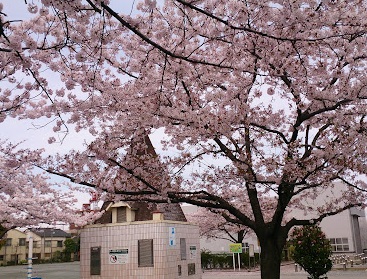 公園　千住スポーツ公園（公園）まで220m