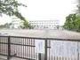 小学校　江戸川区立篠崎第四小学校（小学校）まで603m