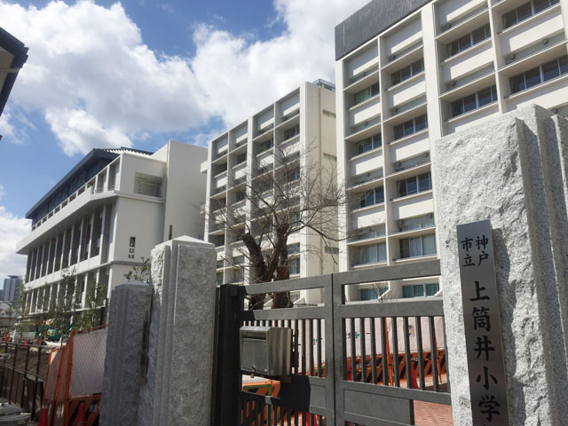小学校　神戸市立上筒井小学校（小学校）まで251m