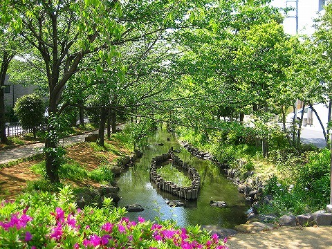 公園　一之江境川緑地（公園）まで824m