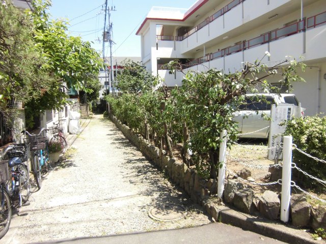 庭
