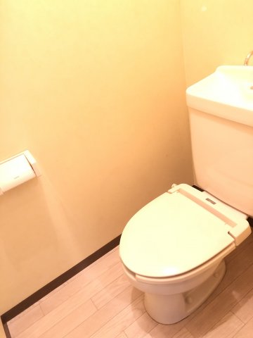 トイレ　トイレも気になるポイント