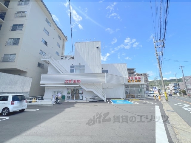 ドラックストア　スギ薬局醍醐石田店（ドラッグストア）まで300m