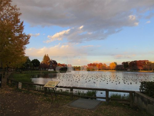 公園　浮間公園（公園）まで882m