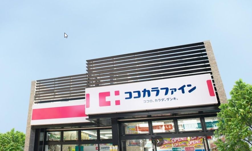 ドラックストア　ドラッグストアライフォート野田店（ドラッグストア）まで253m