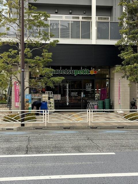 その他　マルエツプチ港南三丁…まで217m