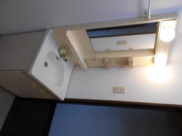 洗面設備　写真は同タイプの別のお部屋のものです。