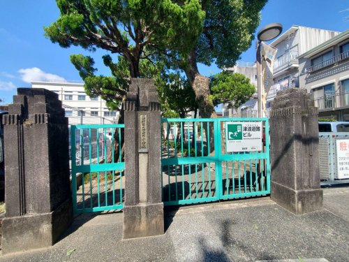 【ロイヤル鷹匠の小学校】