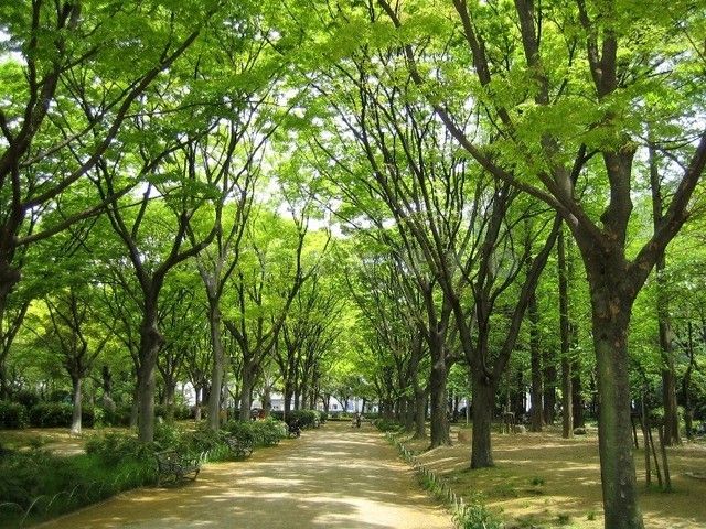 【プレミストタワー靱本町の公園】