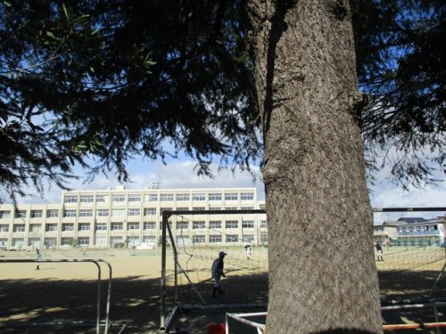 中学校　江南市立古知野中学校（中学校）まで490m