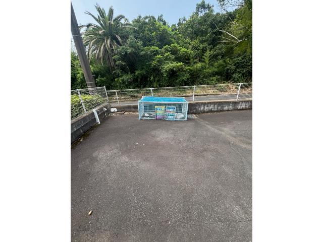 その他　その他