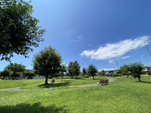 公園　白鳥公園（公園）まで4300m