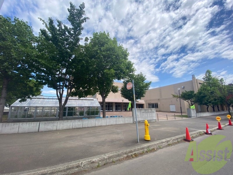 小学校　札幌市立百合が原小学校（小学校）まで984m