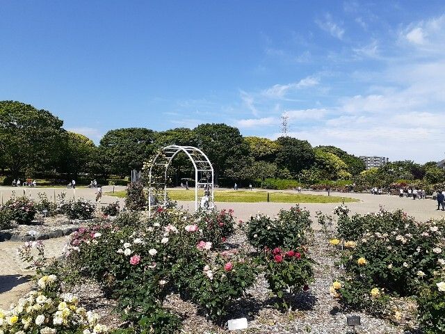 公園　富士市中央公園（公園）まで1000m