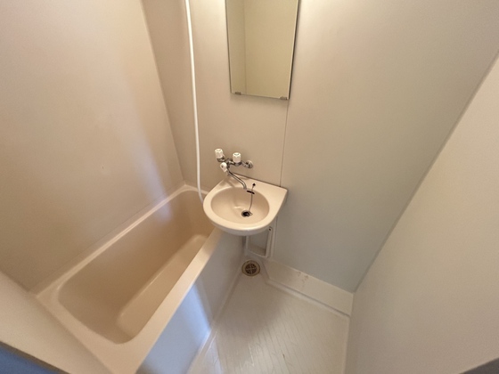 バス・シャワールーム　※別部屋の写真です