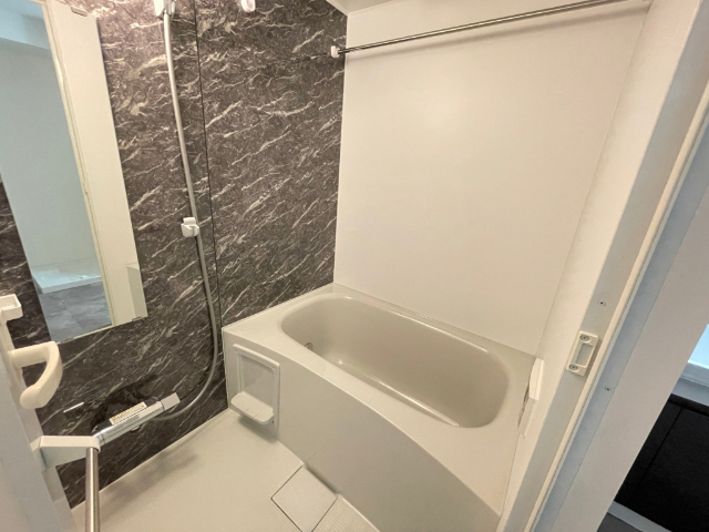 バス・シャワールーム　２０４号室の写真になります。