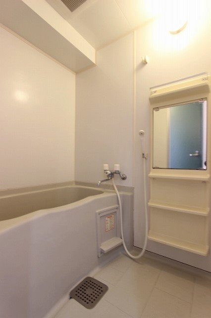 バス・シャワールーム　同物件、別号室の写真