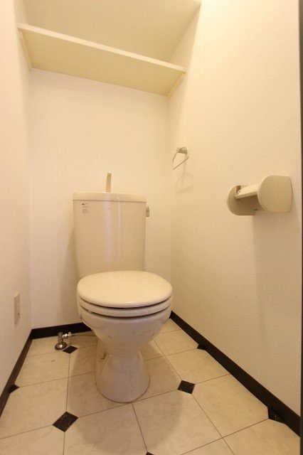 トイレ　同物件、別号室の写真