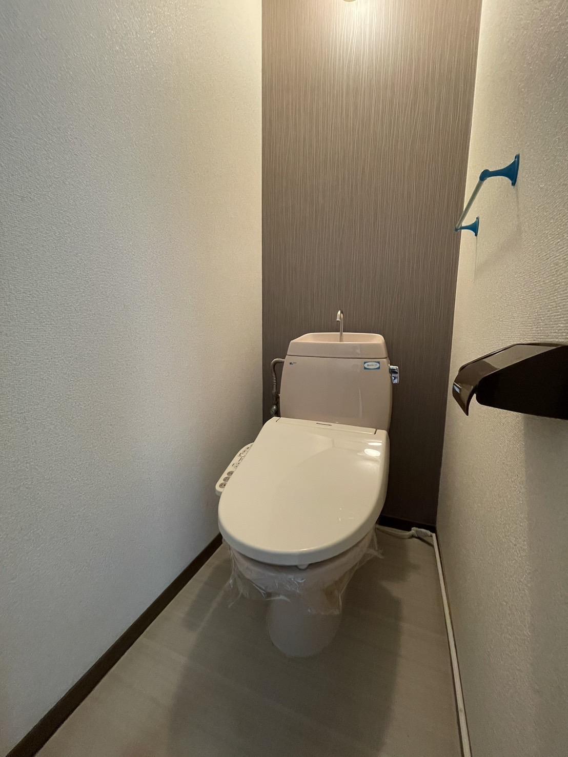 収納　ウォシュレット付トイレ(写真は他居室からの参考になります)