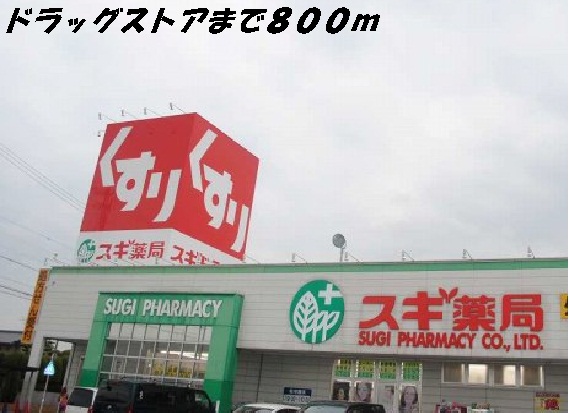 ドラックストア　スギ薬局（ドラッグストア）まで800m