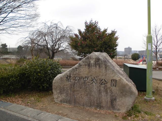 公園　植田中央公園（公園）まで780m
