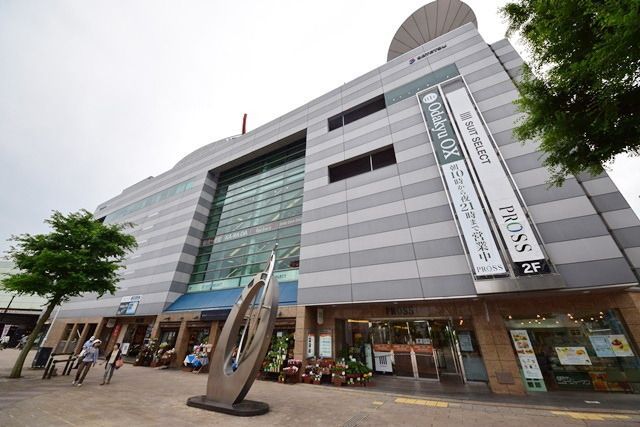 ショッピングセンター　大和プロス（ショッピングセンター）まで351m