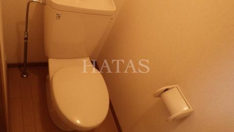 トイレ　同物件別部屋です。