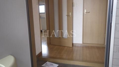 玄関　同物件別部屋です。