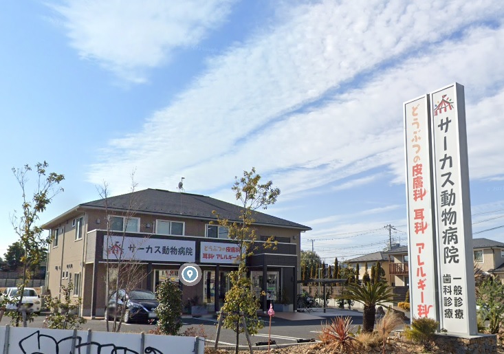 病院　サーカス動物病院（病院）まで809m