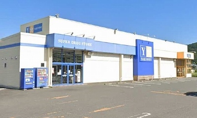 ドラックストア　薬王堂南部町店（ドラッグストア）まで350m