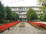 小学校　取手市立 藤代小学校（小学校）まで1215m