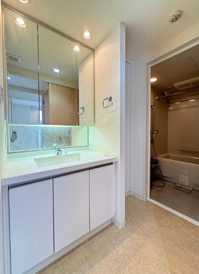 洗面設備　※別室参考写真