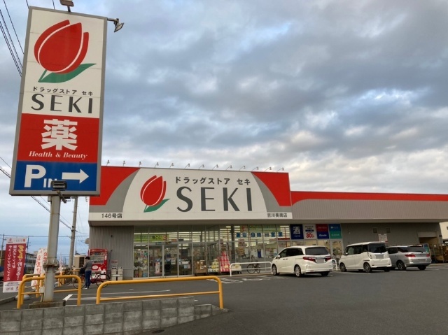 ドラックストア　ドラッグストアセキ吉川美南店（ドラッグストア）まで286m