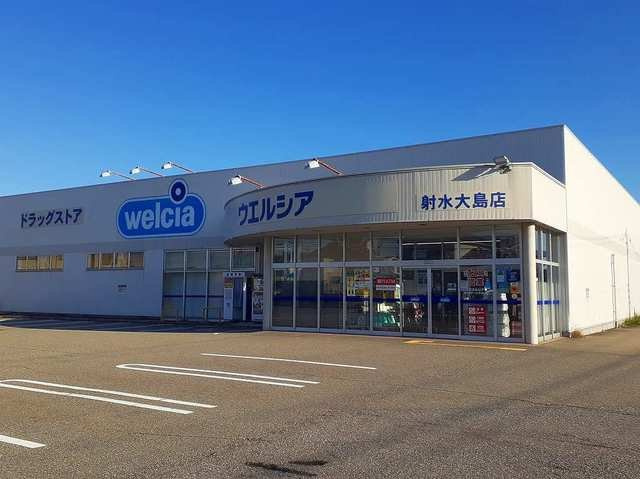 ドラックストア　ウエルシア射水大島店（ドラッグストア）まで363m