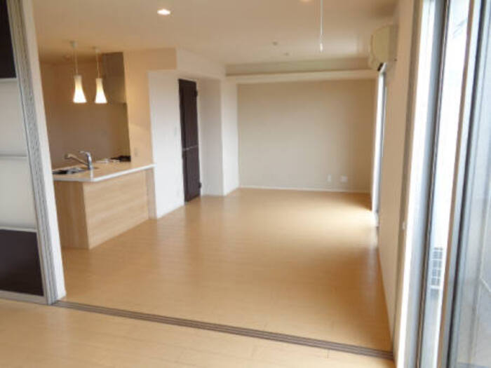 居室・リビング　A101 ＬＤＫ(     室内物干し)