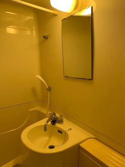 洗面設備　※別号室の写真です