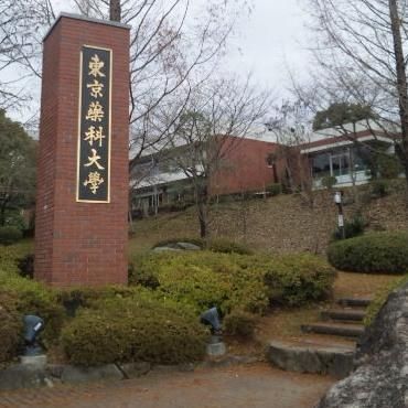 その他　私立東京薬科大学（その他）まで1416m