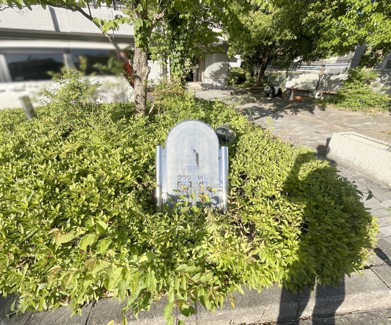 庭