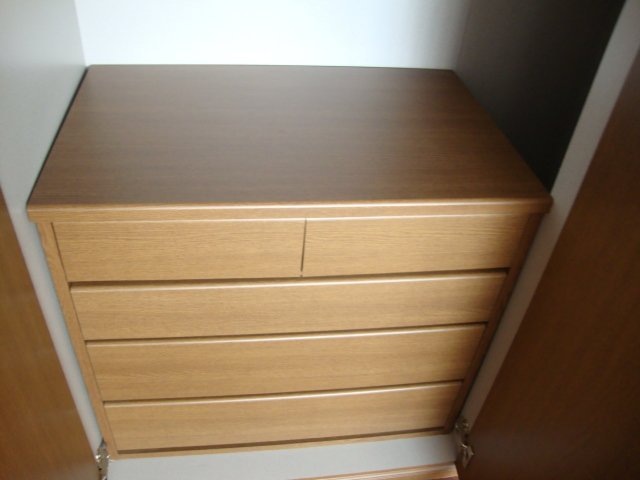 収納　※同タイプの部屋写真です