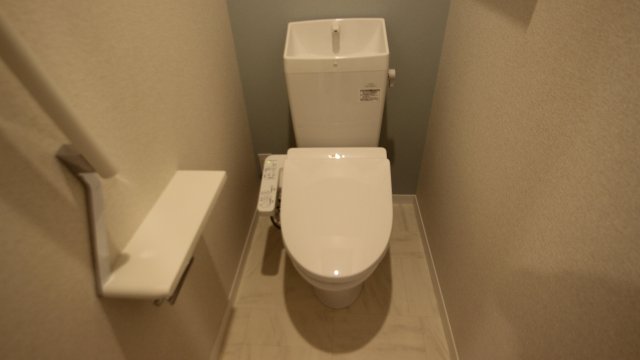 ピアヌーラ翠のトイレ写真