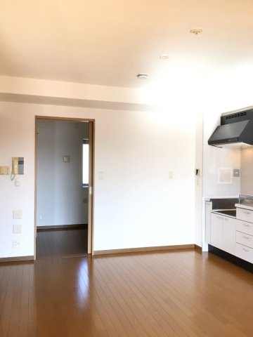 居室・リビング　※反転タイプの部屋の写真です。