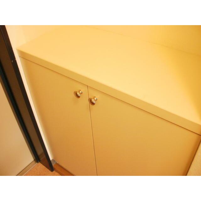 玄関　※別部屋参考写真です。