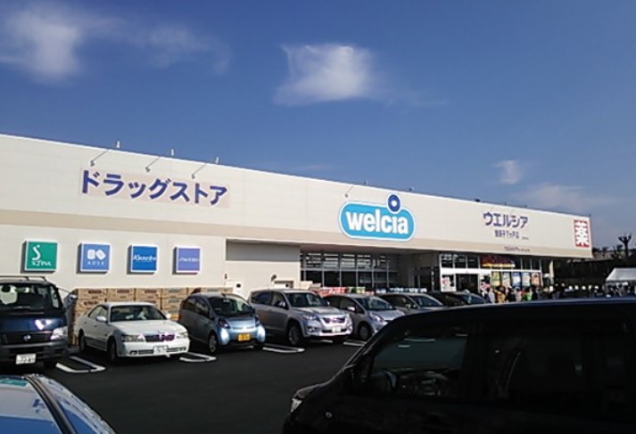 ドラックストア　ウエルシア 我孫子下ケ戸店（ドラッグストア）まで1183m