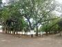 公園　薬円台公園（公園）まで998m